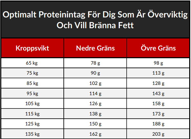 proteinintag överviktig