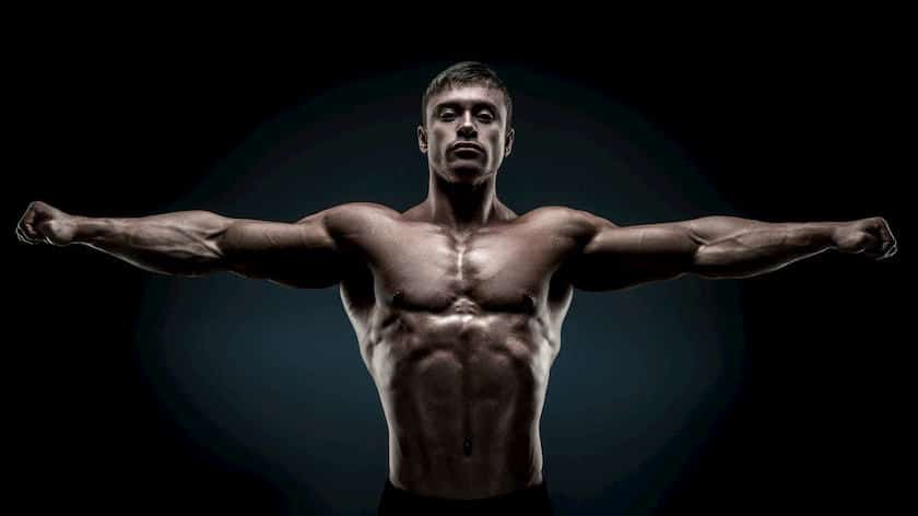 hur mycket muskler kan man bygga